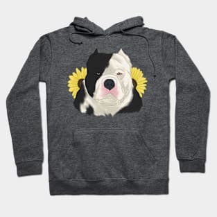 Black Pied American Bully with Sunflowers Hoodie